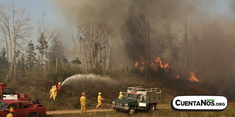 Cómo sobrevivir a un incendio forestal?