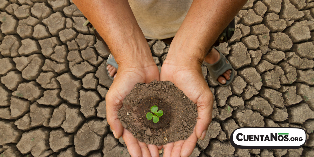 La cara oculta del cambio climático ¿Quién paga el precio más alto.png
